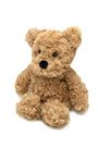 Plush teddy bear on a white background