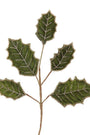 22.5" Green Holly Pick