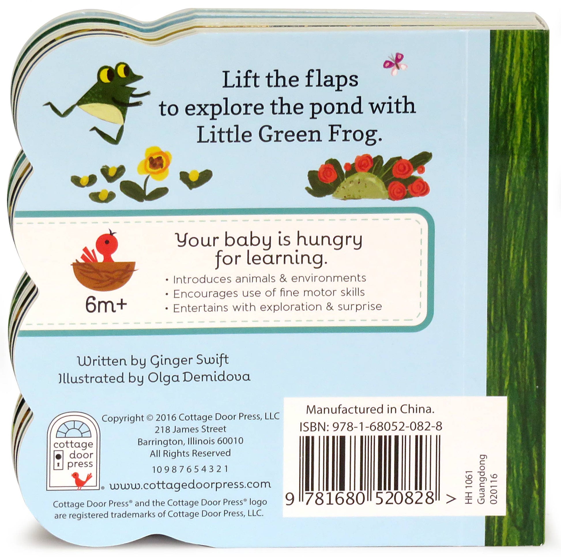 Back cover of a children's book with illustrations and text about exploring the pond with Little Green Frog.