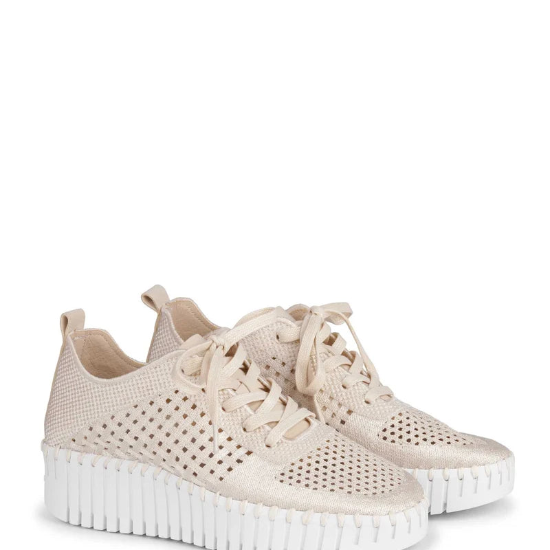 Isle Jacobsen Kit White Embroidery Wedge Shoe with Laces