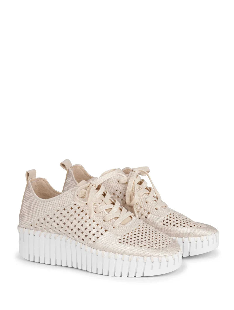 Isle Jacobsen Kit White Embroidery Wedge Shoe with Laces