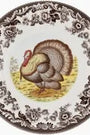 Decorative plate with a turkey illustration on a patterned border